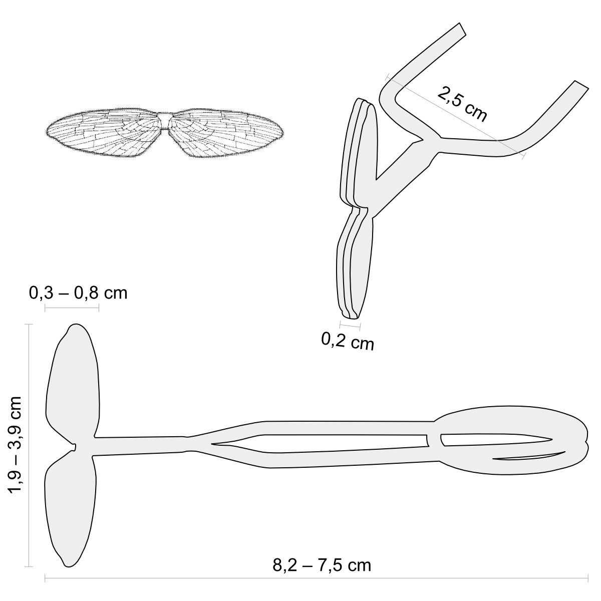 Gruppo 6 pinze Mayfly con scatola di legno