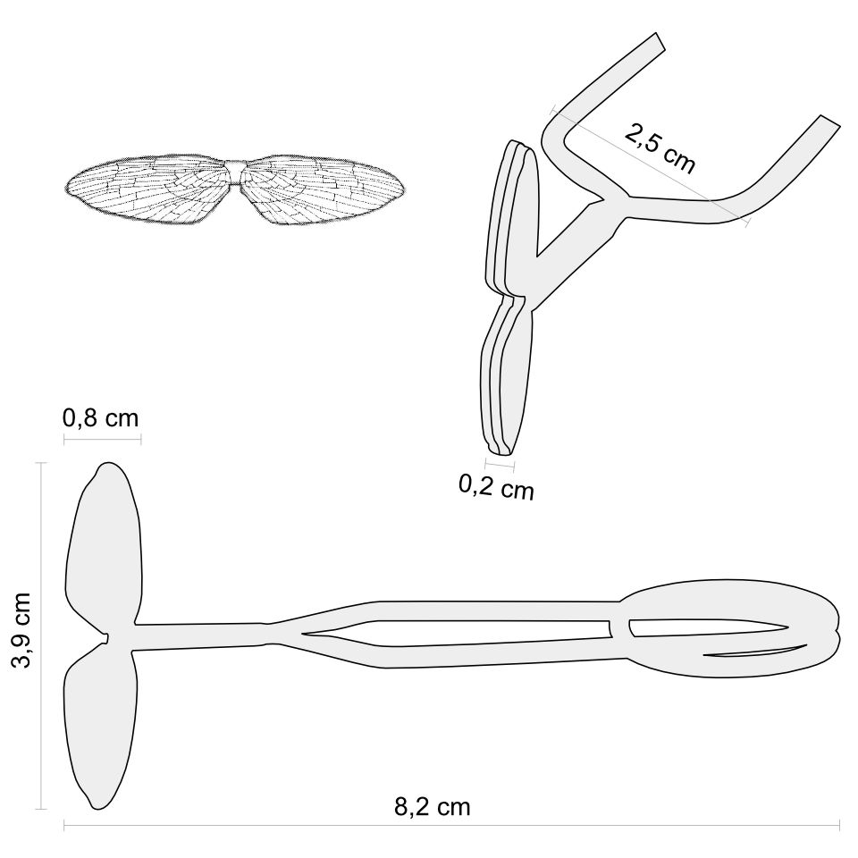 Pinza Mayfly nr 8