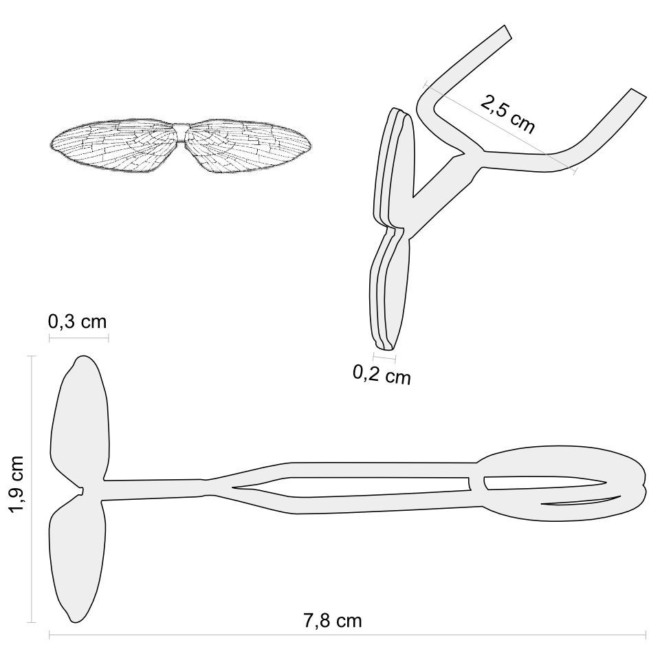 Pinza Mayfly nr 18