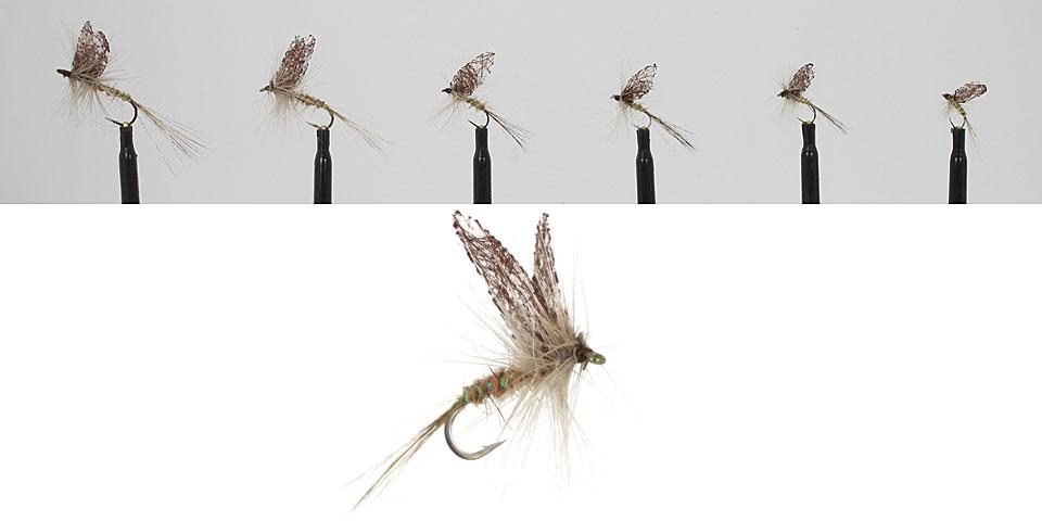 Gruppo 6 pinze Mayfly con scatola di cartoncino