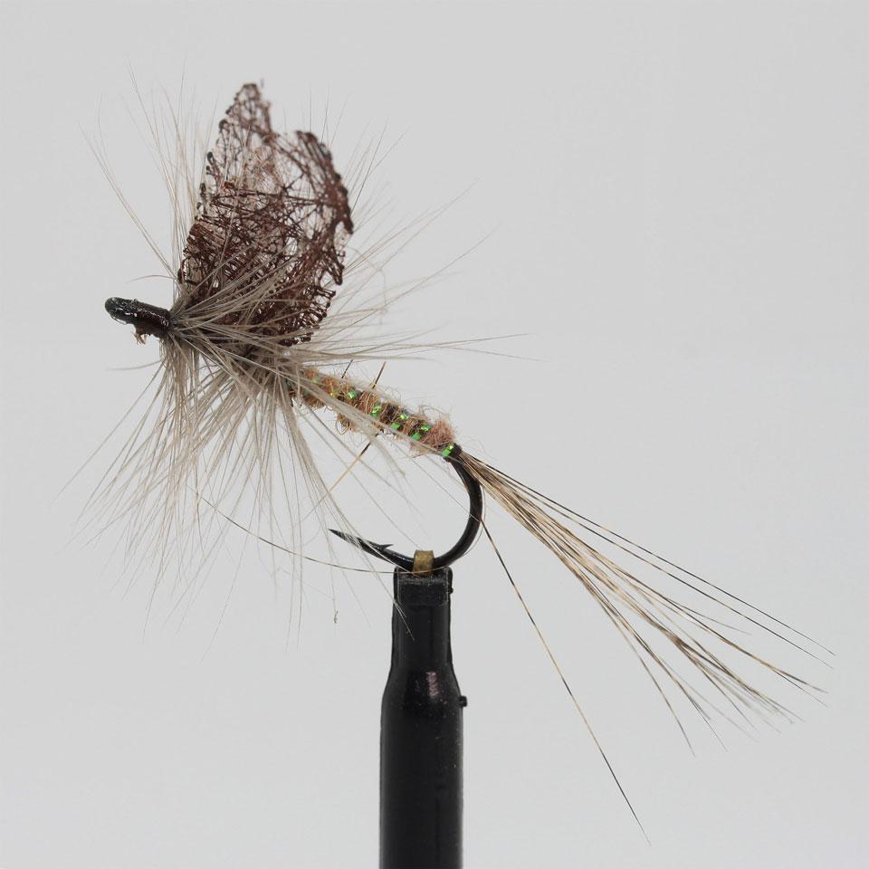 Pinza Mayfly nr 8