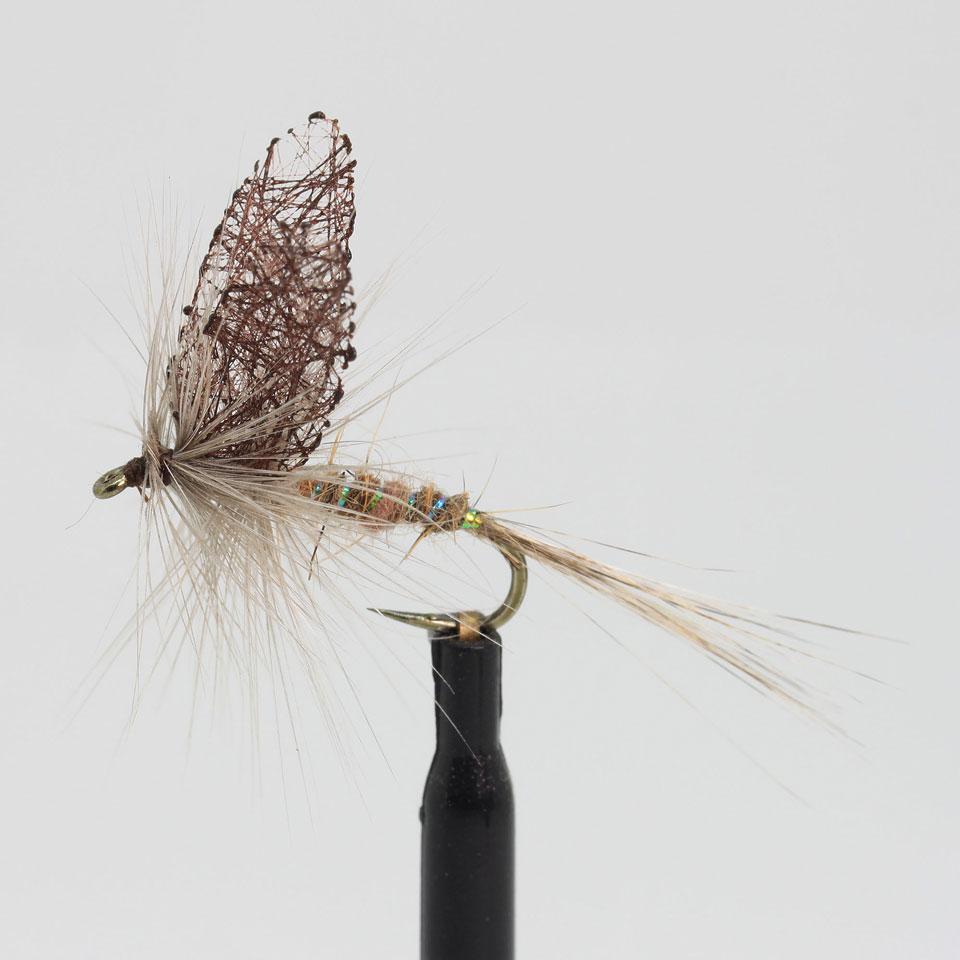 Pinza Mayfly nr 10