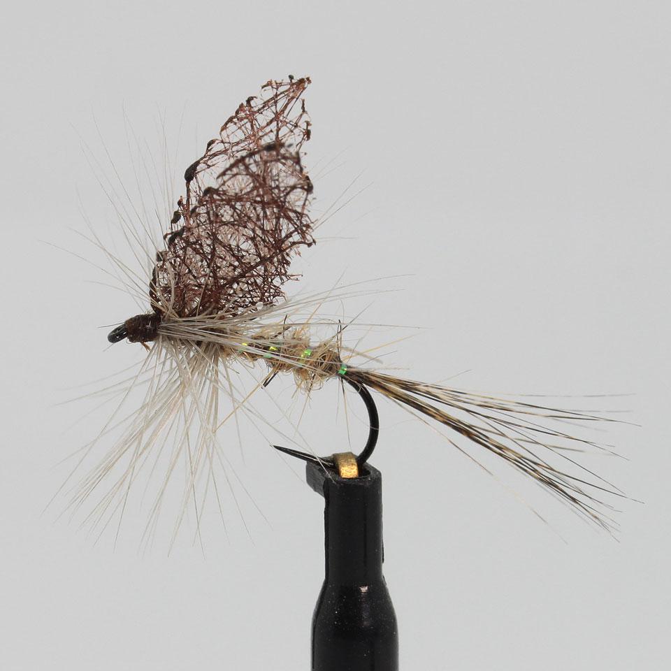 Pinza Mayfly nr 12