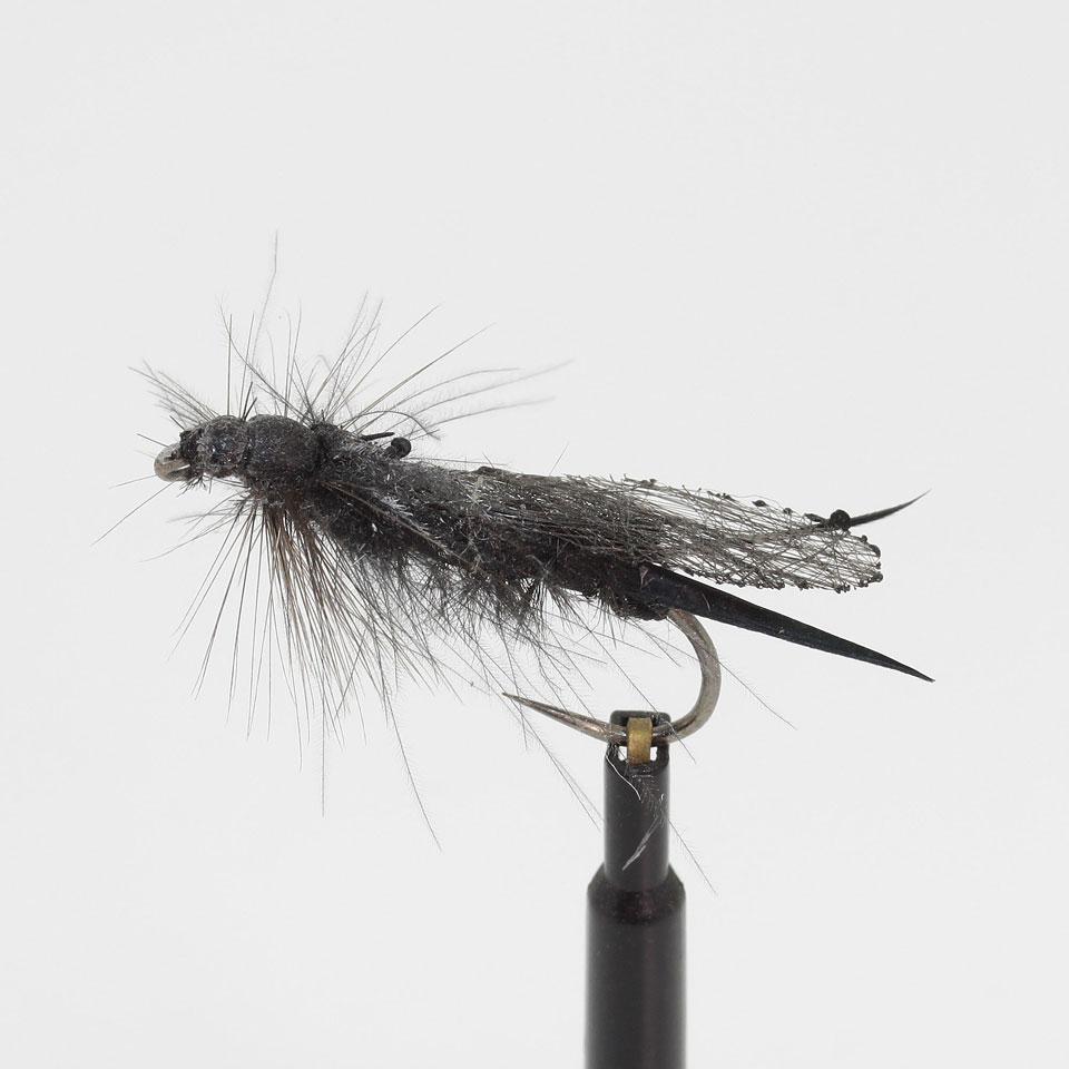 Pinza Stonefly nr 8